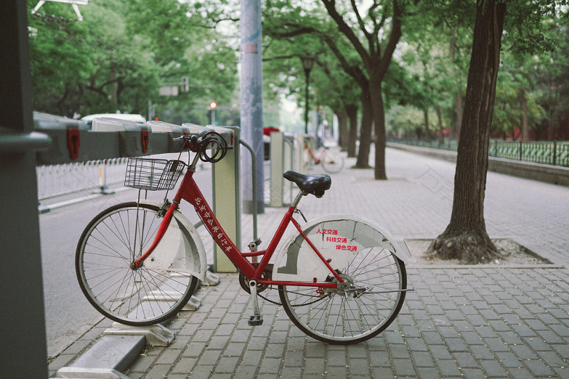 白色和红色自行车停在树旁