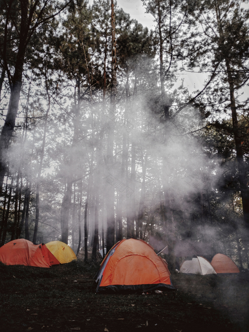 林中五帐篷
