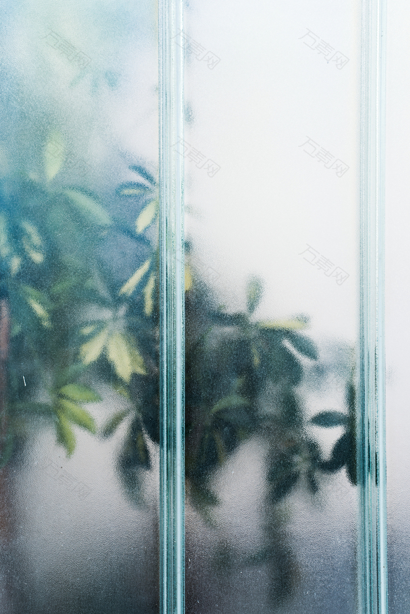 玻璃面板附近的绿叶植物