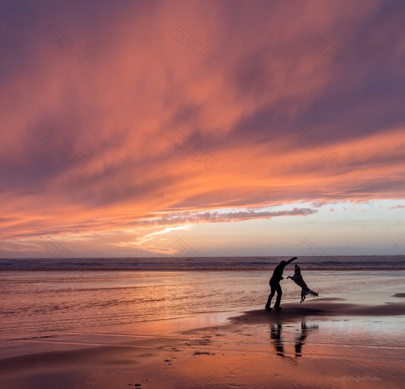 一个男人和金色猎犬在海滩上的剪影