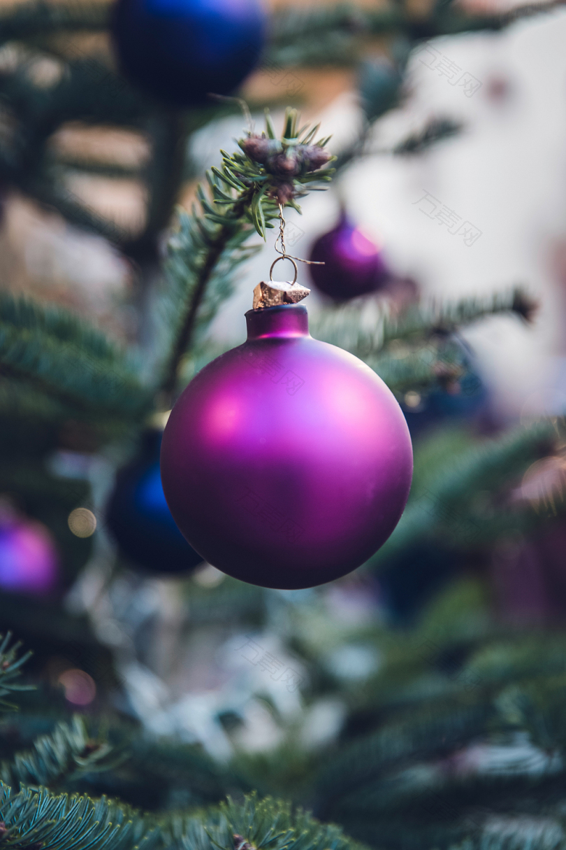 圣诞树上挂着紫色圣诞球