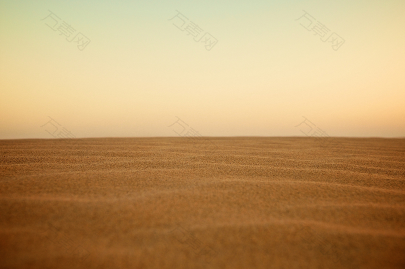 沙漠选择性聚焦摄影
