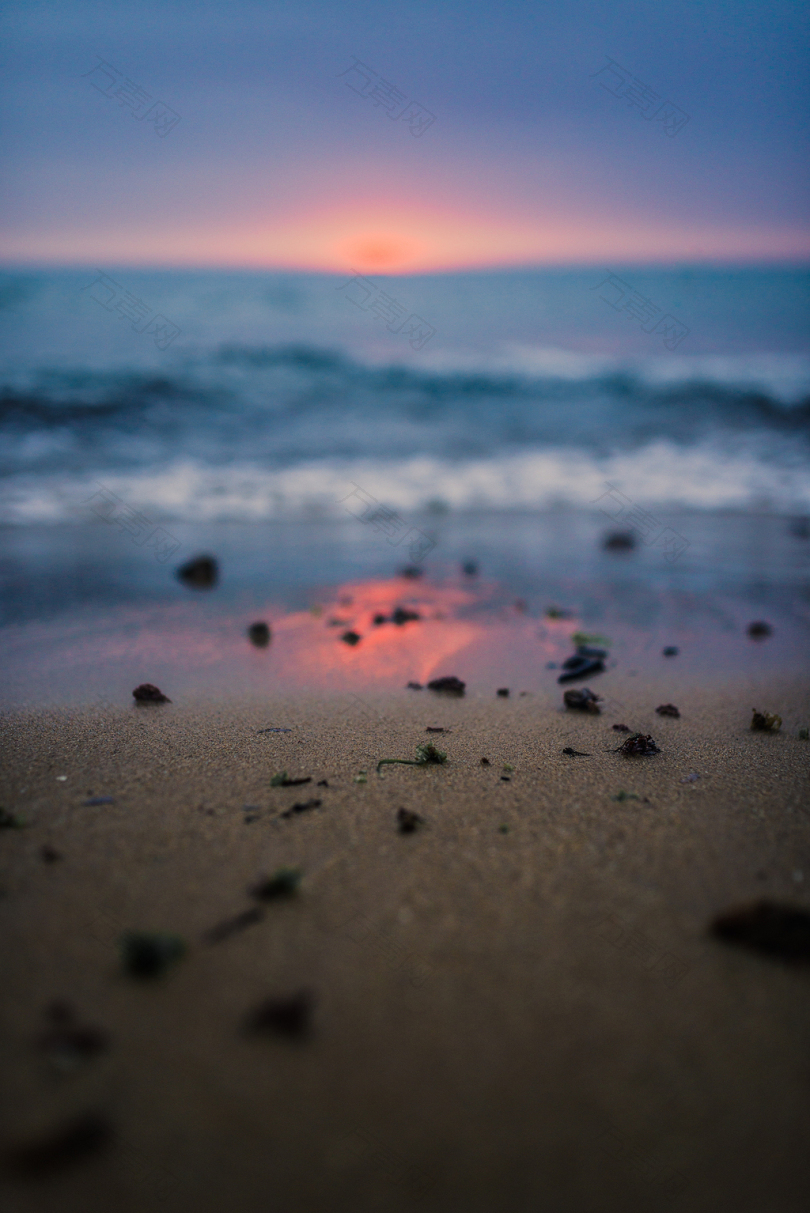 日落沙滩沙滩上的海藻