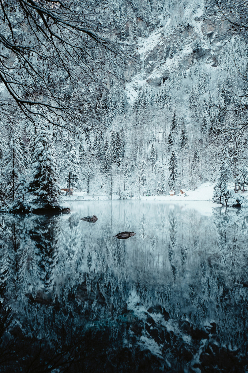 白雪覆盖的河流和树木