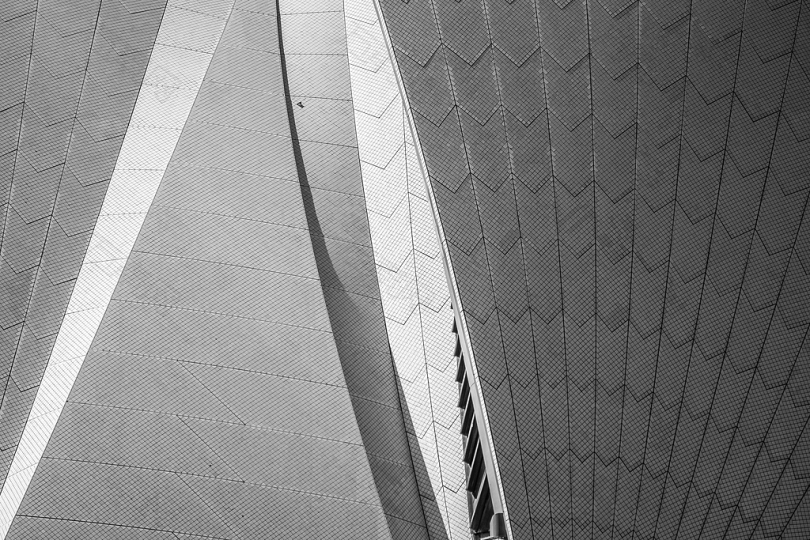 建筑黑白建筑细节抽象结构外部白色歌剧院澳大利亚悉尼城市悉尼歌剧院特写灰色雪佛龙