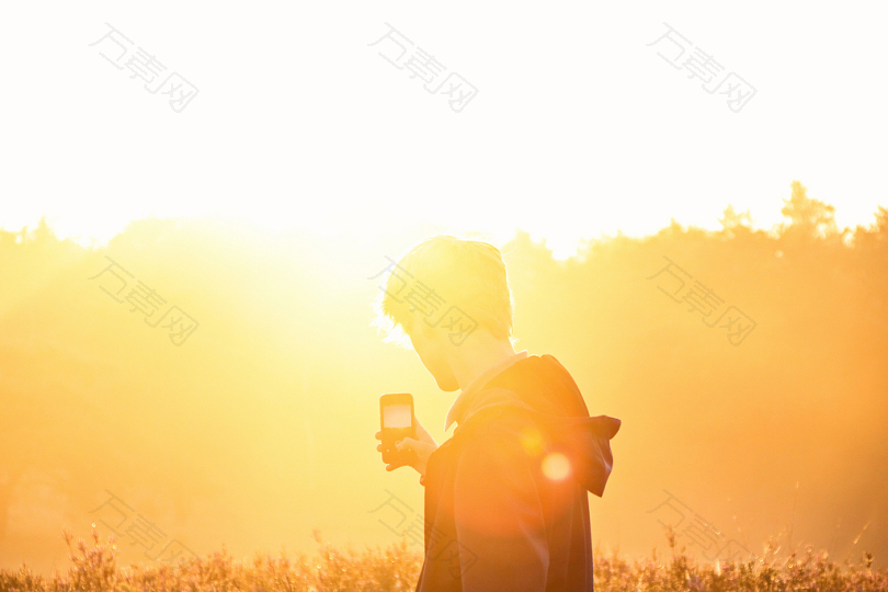 自然树福雷斯特头发蓝天金色日落日出耀斑照片iPhone电话森林早晨太阳太阳耀斑
