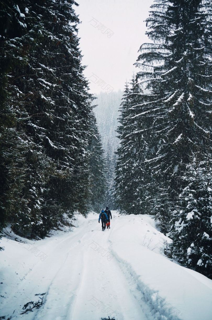 森林中雪覆盖的道路上行走的两个人