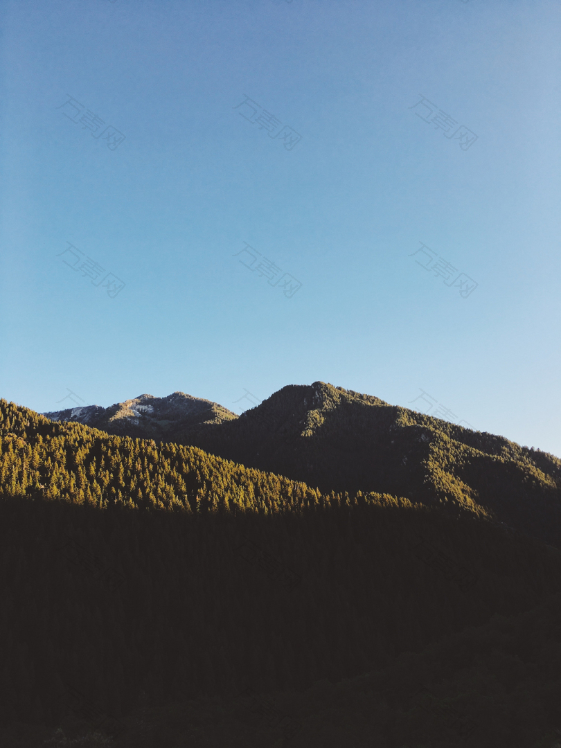 白天蓝天下树木覆盖的山