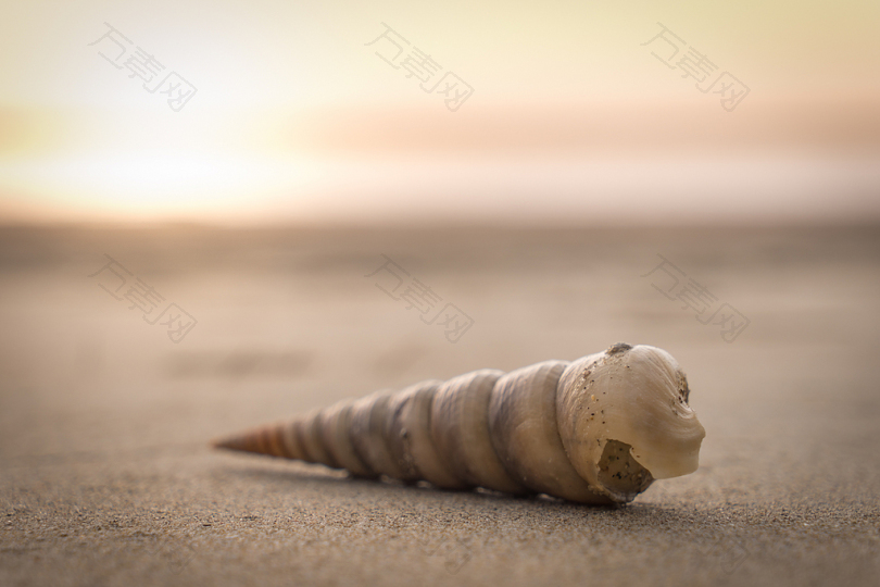 黄金时段沙滩上沙丘的选择性聚焦照片