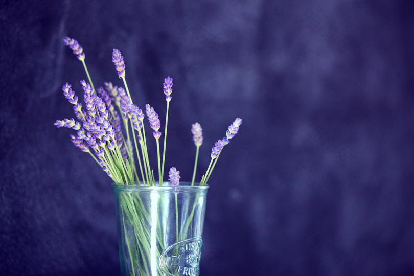 在玻璃上的紫色花瓣的特写照片
