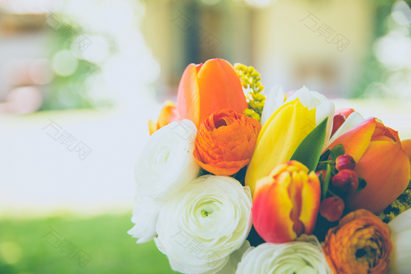 白色和橙色花瓣的特写摄影