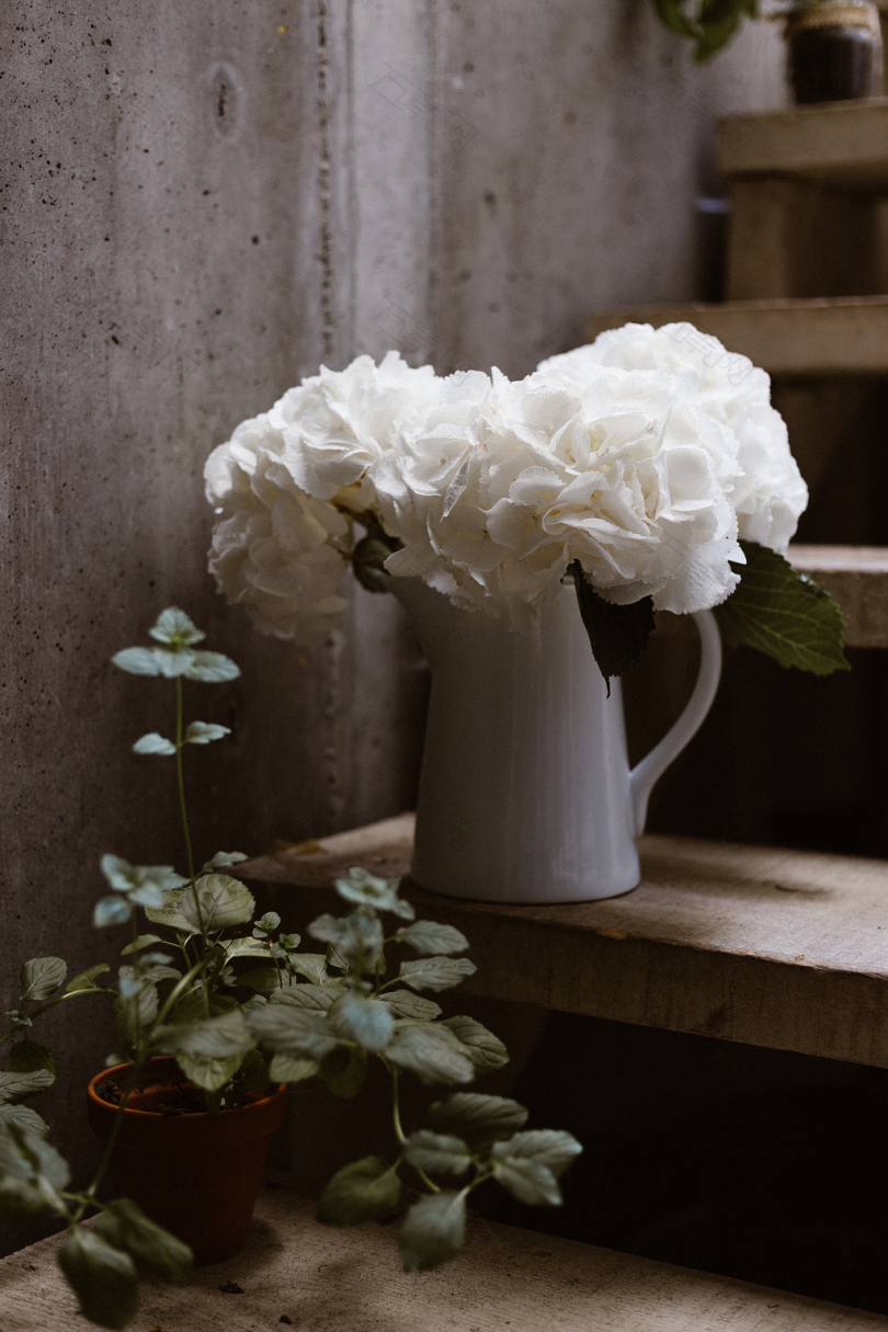 白色陶瓷花瓶中的白花