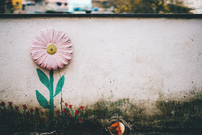 粉色花卉艺术的三分摄影法则