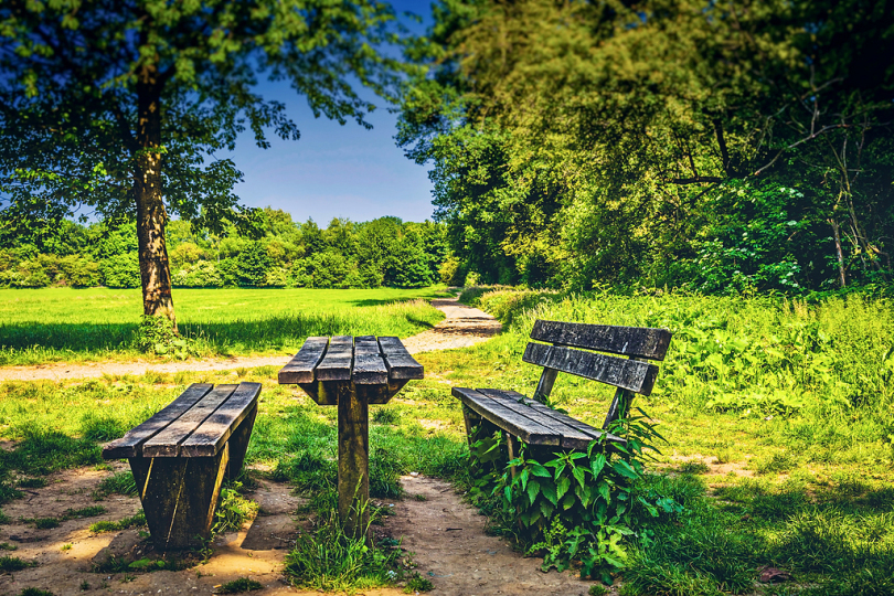 公园长凳暂停景观自然树绿色一天户外夏天坐景区花园光叶子