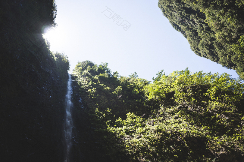 低角度摄影瀑布被树木环绕