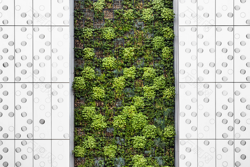 建筑植物树叶城市绿色白色抽象自然圆形常春藤墙