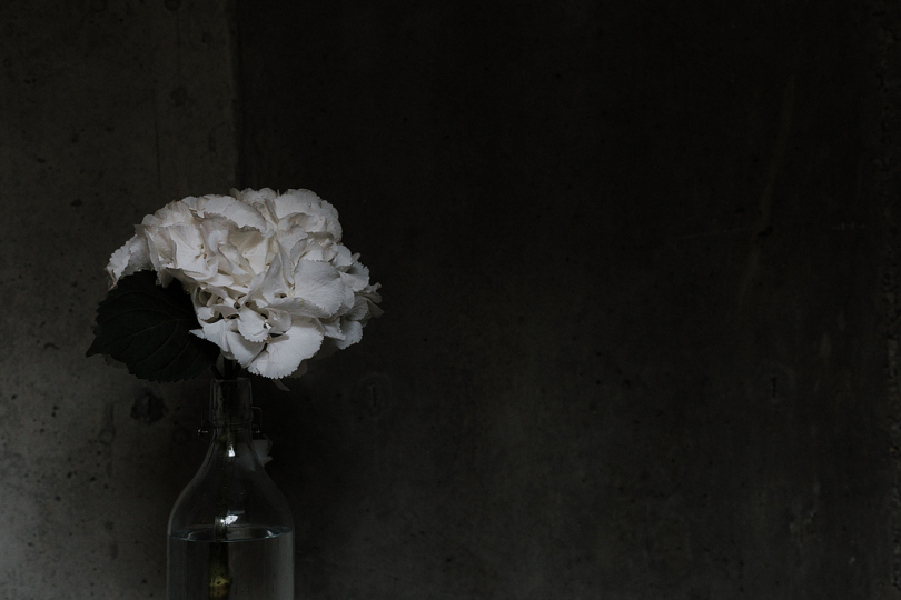 透明玻璃花瓶上的白色花瓣花