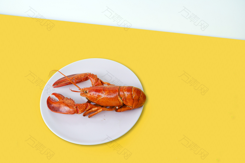 陶瓷板龙虾