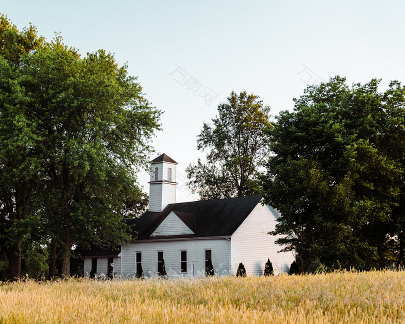 树木环绕的白色和黑色教堂