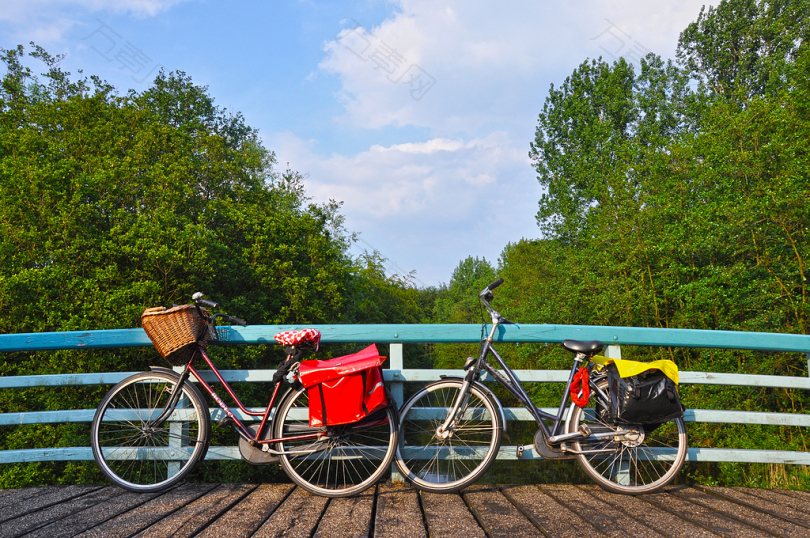 自行车车辆交通骑自行车活动户外健康适合