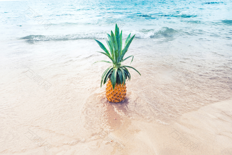 白天海滩沙滩上的菠萝果实