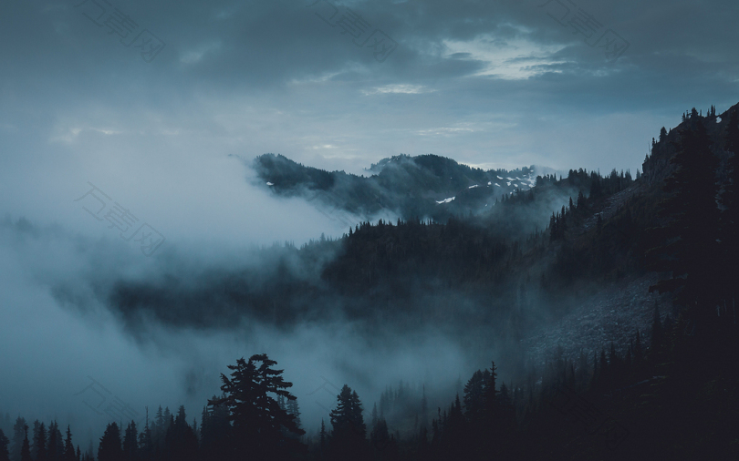 雾林地森林喜怒无常树木层山山坡黄昏日落云树阴暗风景旅游