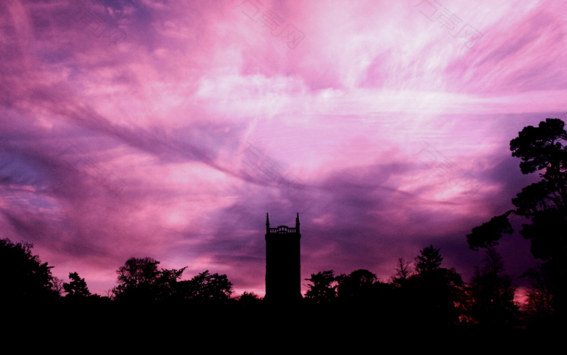 白天在紫色天空下树木和建筑物的剪影照片