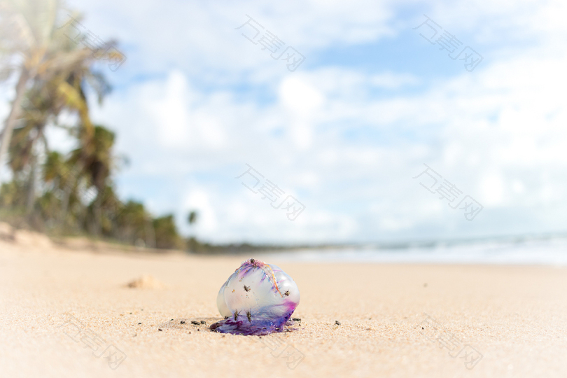 海滩透明袋的选择性聚焦摄影
