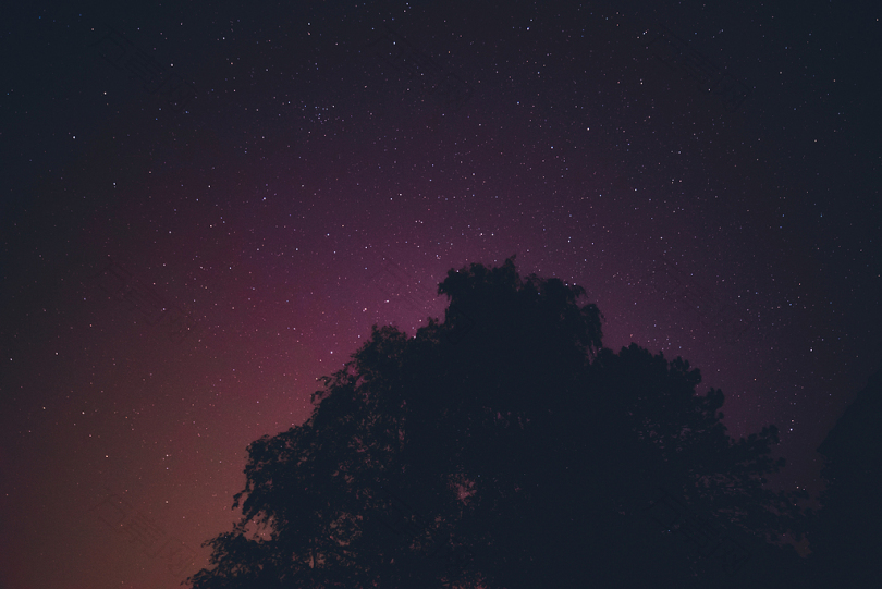 轮廓树夜空天空星空星星黑暗天文学紫色树轮廓神秘紫色的夜空薰衣草空间令人惊叹的长博双关星云极光粉红色