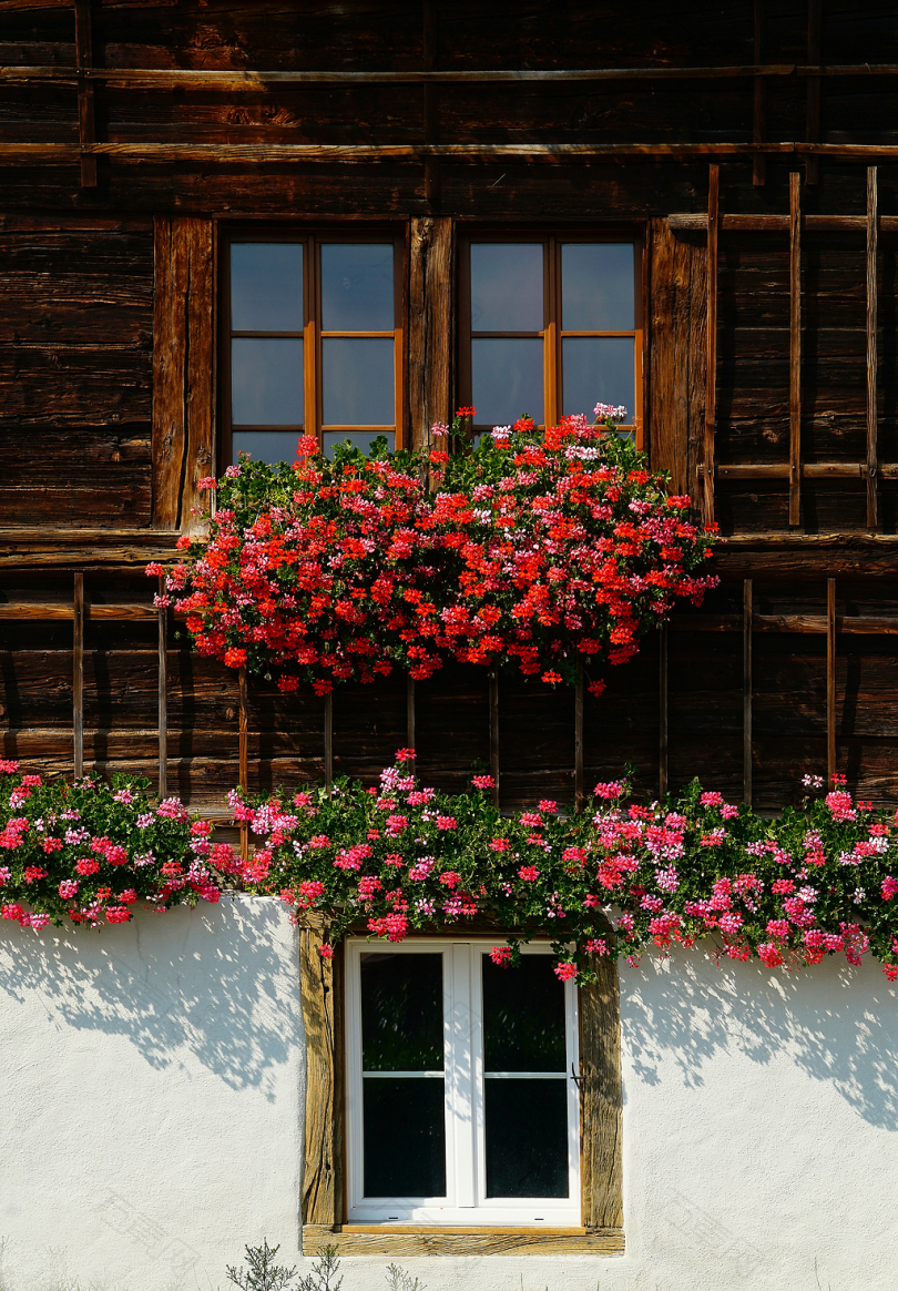 豪斯建筑石膏玻璃纹理线条色彩自然花卉立面窗户木材