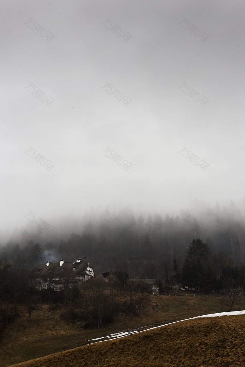 白色和棕色房子的高角度照片被树木和雾气所笼罩