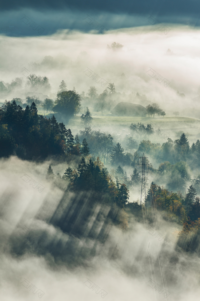 大雾天气下高层树木和房屋的航空摄影