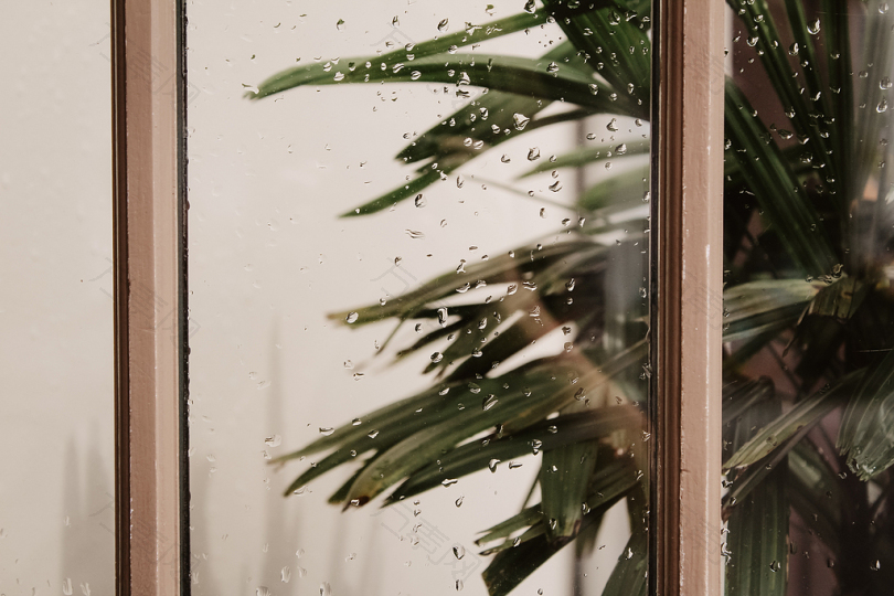 窗树棕柏绿水滴反光雨玻璃棕榈树树叶雨滴