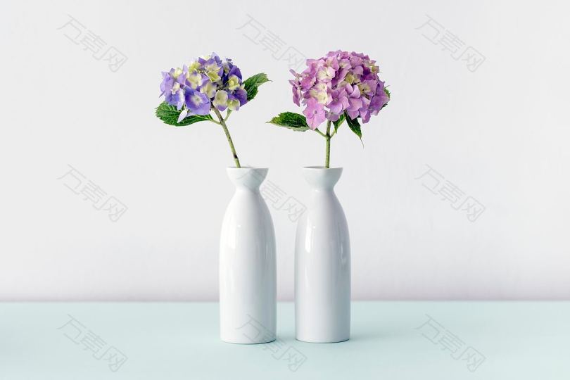 两个绣球花瓶