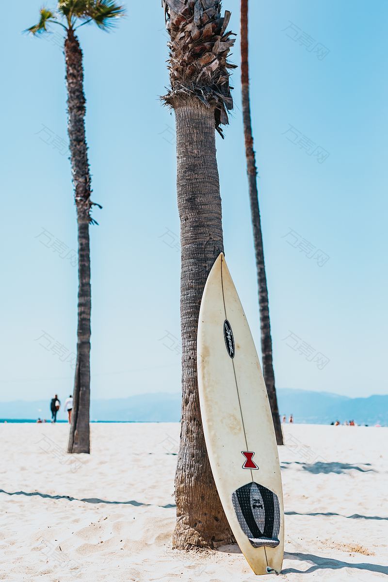 冲浪板棕榈树沙滩房
