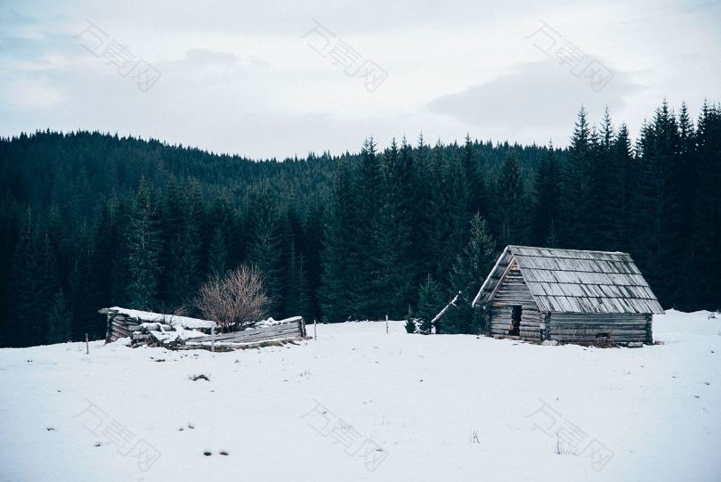 树林里的雪地小屋