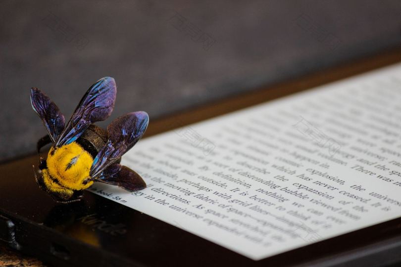 Kindle蜜蜂电子和平板高清