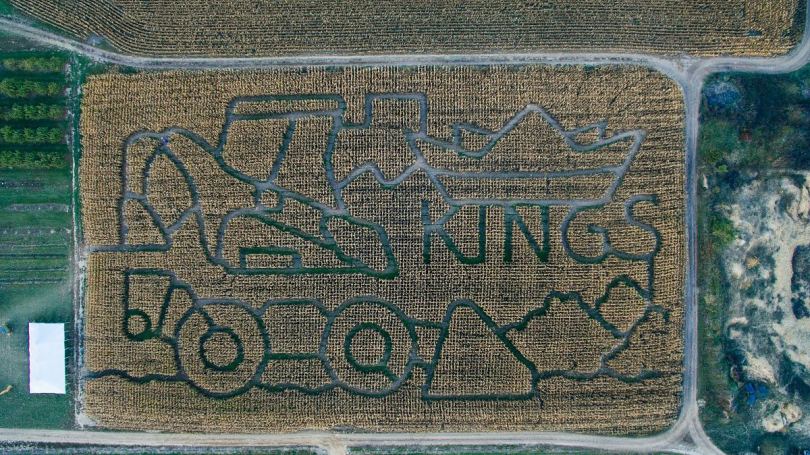 国王的玉米迷宫