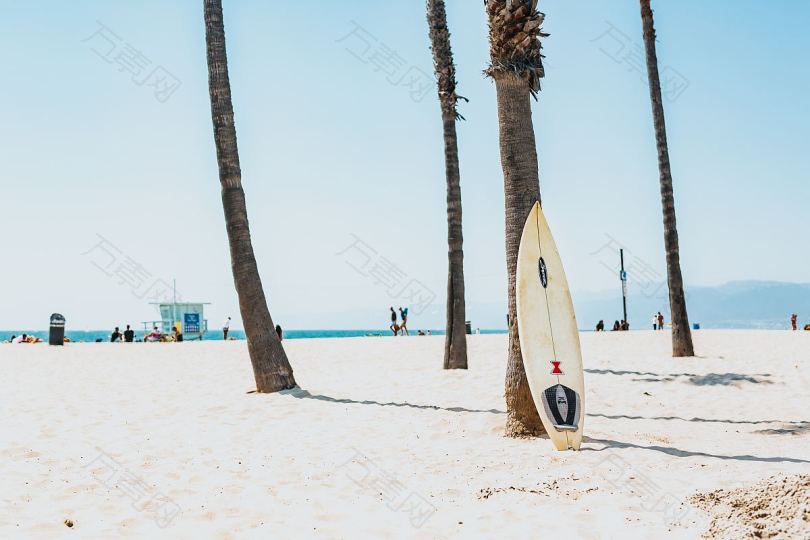 沙滩树冲浪板和棕榈房