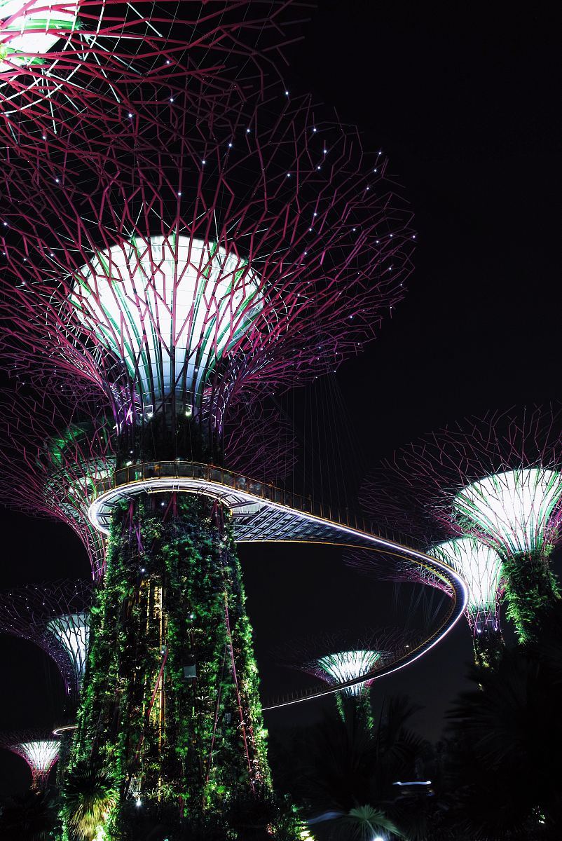 超级树林新加坡