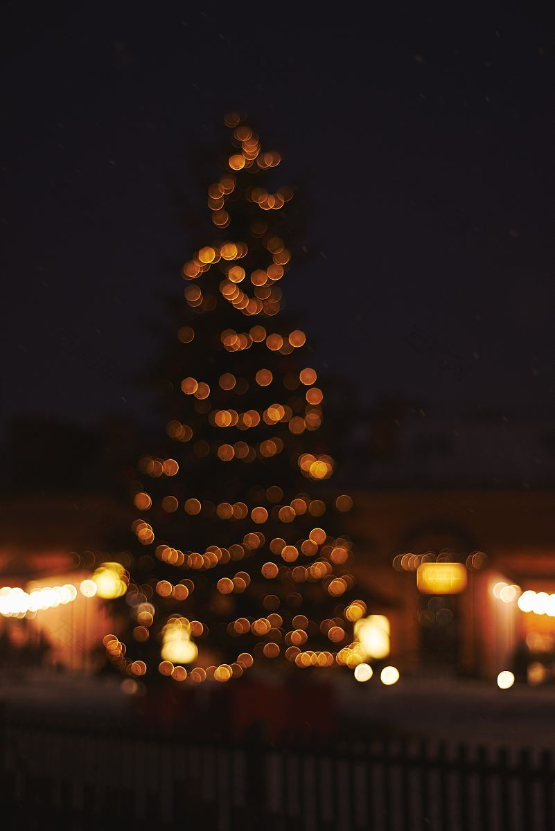 冬天圣诞树失去焦点和灯光
