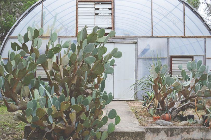 温室植物花园和玻璃房
