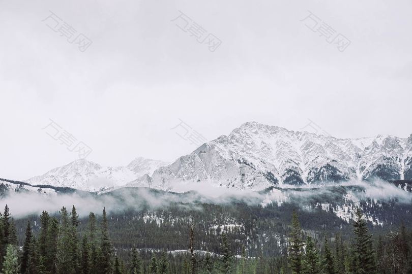 山地树木林地和森林