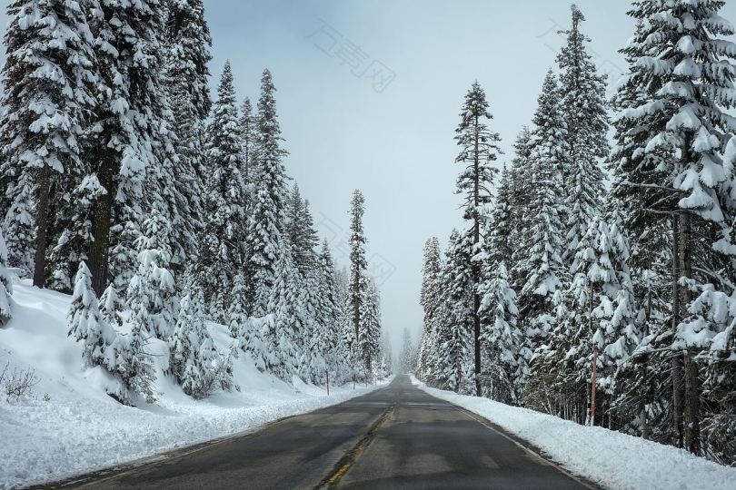 冬季松林路