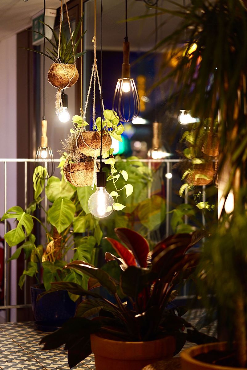 植物播种机栅栏和灯光房