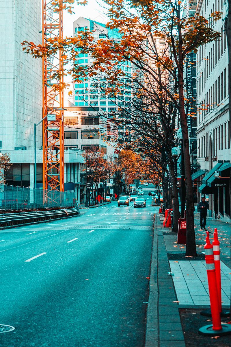 街道人行道道路及房屋署