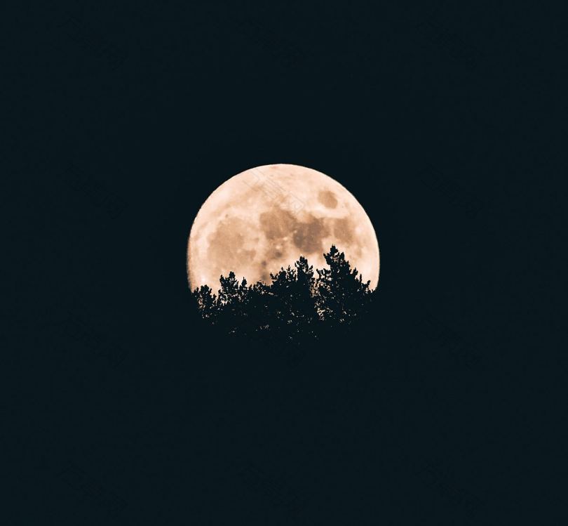 夜黑月树