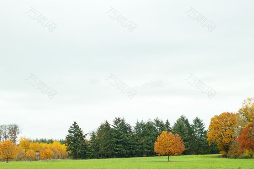 草地橙色秋天和绿色