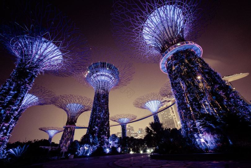 电力树新加坡