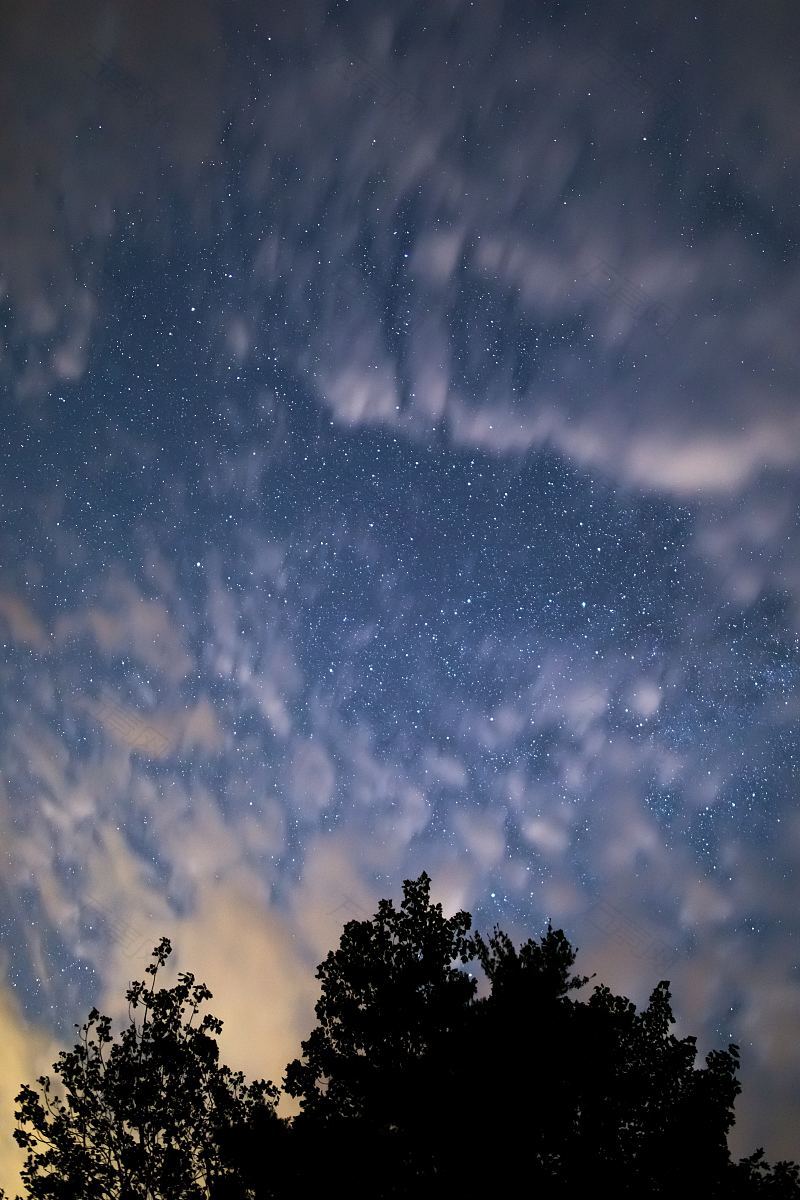 午夜云层在树上